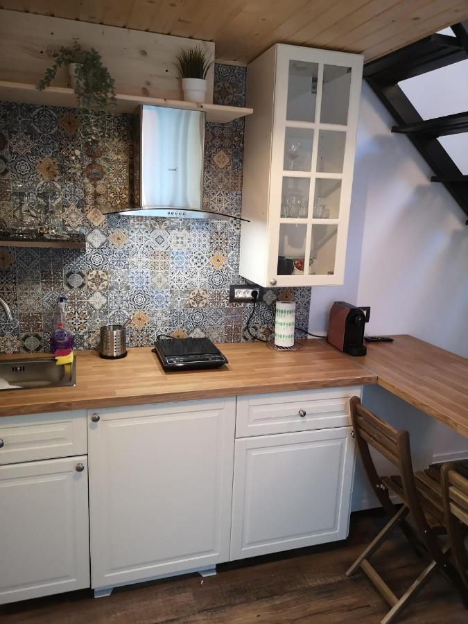 Kopel Haus - Studio - Self Acces Cod Location 발로테슈티 외부 사진